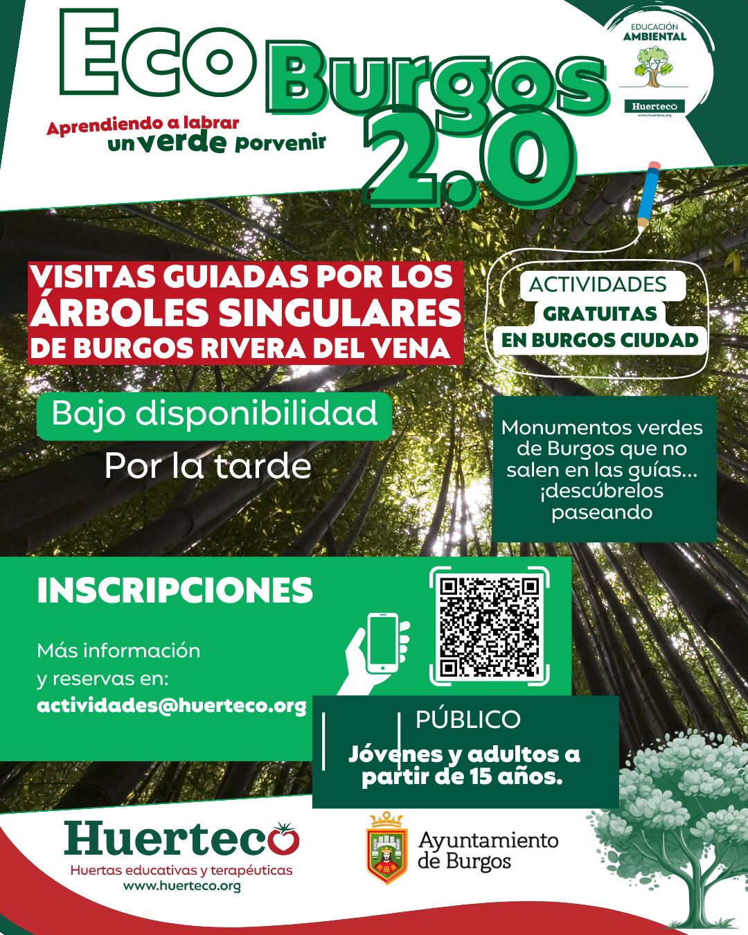 Visitas guiadas árboles singulares de Burgos