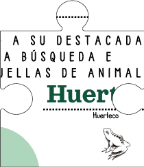 Pieza diploma rastreador de fauna burgalesa, iniciativa dentro del proyecto Eco-Burgos de Huerteco sobre educación ambiental