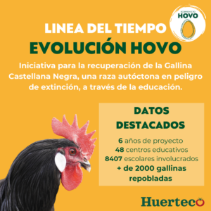 Línea de tiempo de la evolución del ecoproyecto HOVO de Huerteco, para la recuperación de la Gallina Castellana Negra