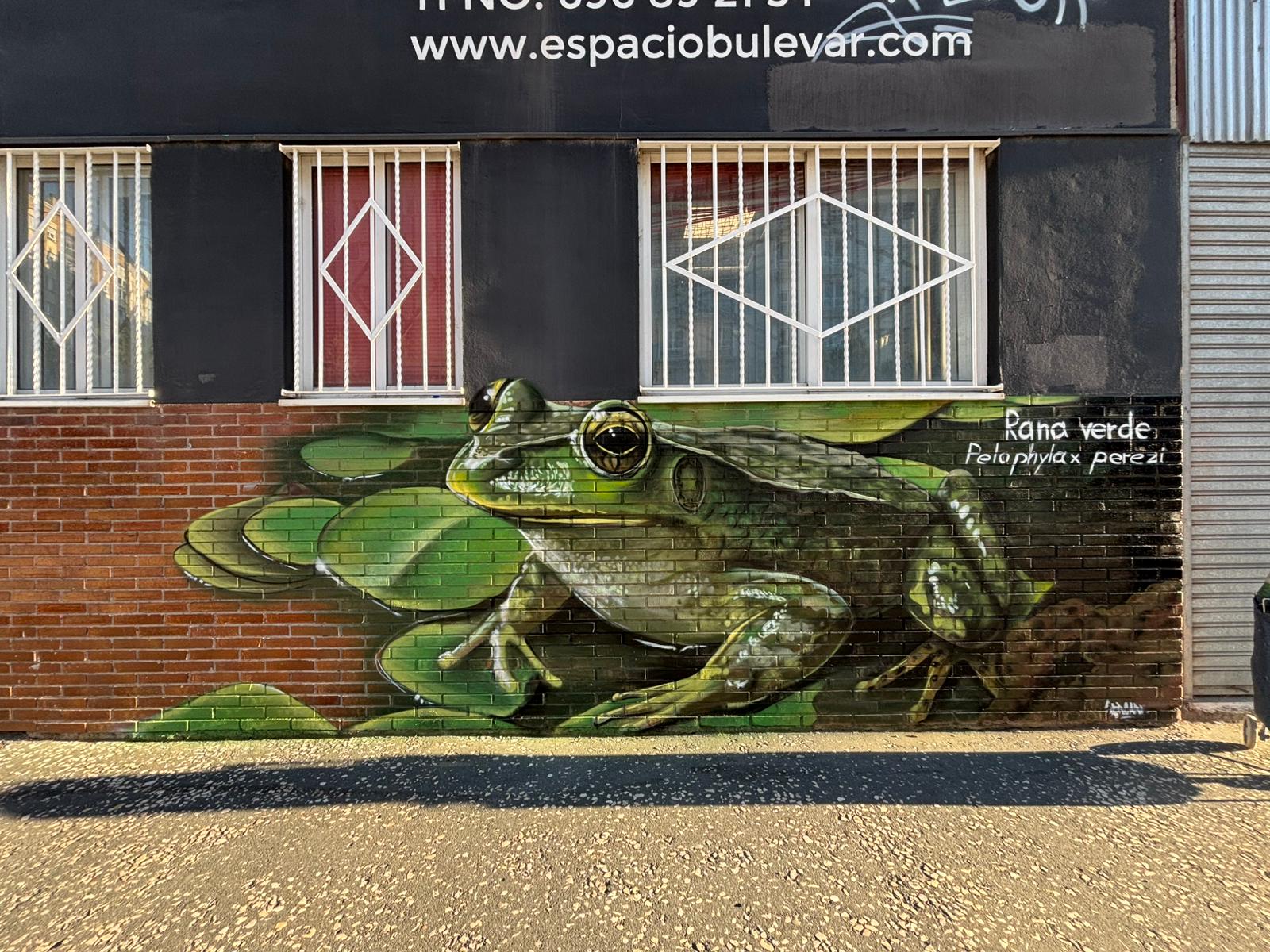 Mural de la rana verde, iniciativa dentro del proyecto Eco-Burgos de Huerteco sobre educación ambiental