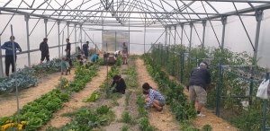 HuerteColaborativo, tardes de Huerteco