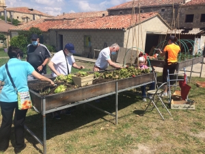 Horticultura Terapeútica en mesa de cultivo adaptada