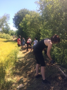 Voluntariado ambiental Huerteco con Santibañez