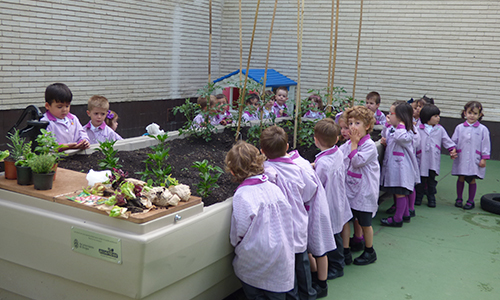 Huertos escolares en Burgos organizados por la asociación Huerteco, un proyecto educativo de agricultura ecológica y educación ambiental.