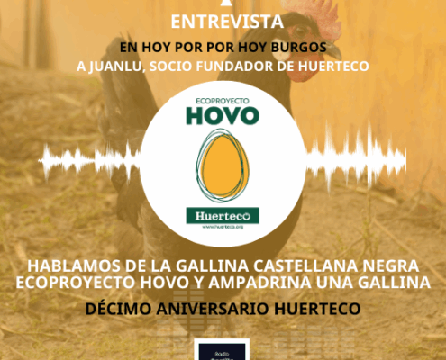 Entrevista a Juanlu Carranza en Cadena SER por el 10º aniversario de Huerteco. Presenta el proyecto HOVO y la campaña AMPAdrina una gallina para conservar la Gallina Castellana Negra en Burgos.