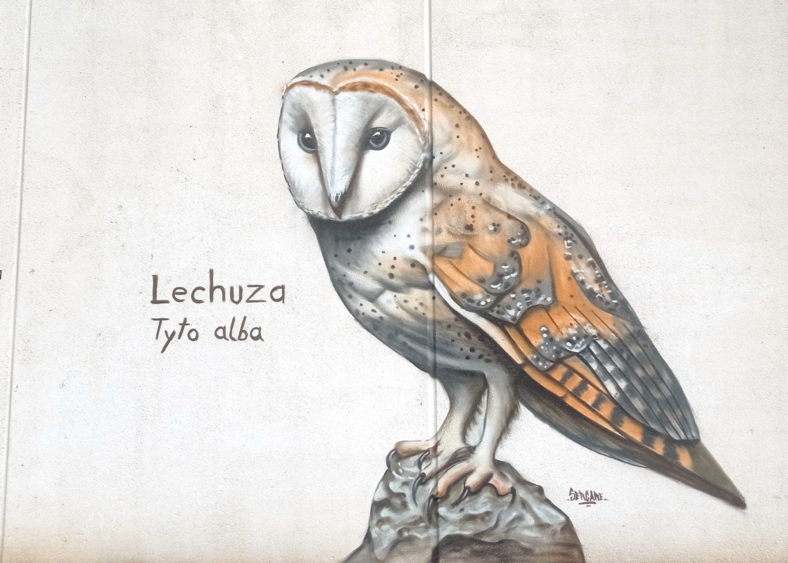 Mural de la lechuza, iniciativa dentro del proyecto Eco-Burgos de Huerteco sobre educación ambiental