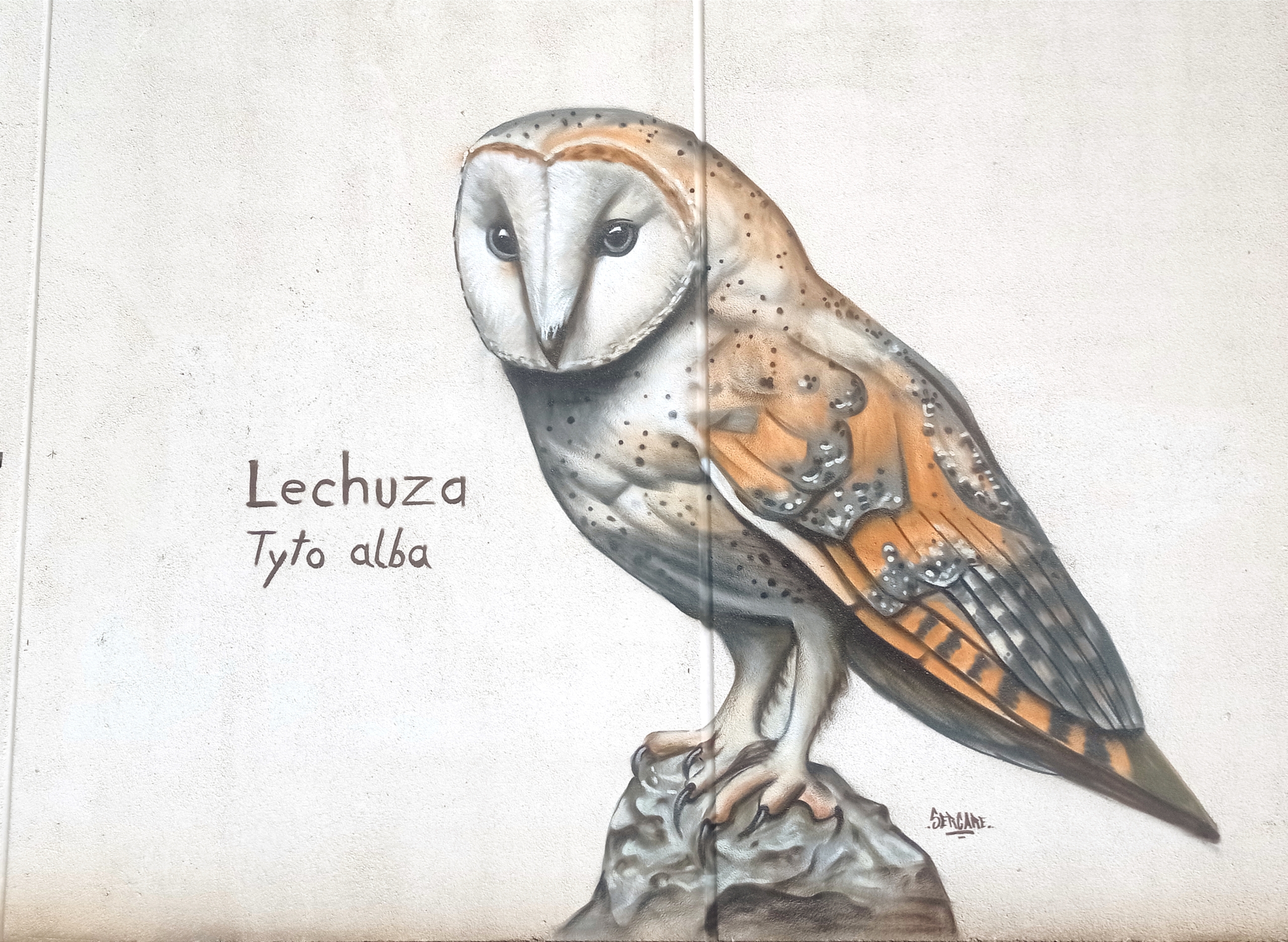 Mural de la lechuza, iniciativa dentro del proyecto Eco-Burgos de Huerteco sobre educación ambiental