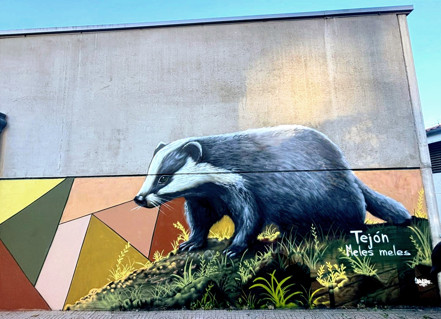 Mural de tejón, proyecto EcoBurgos de Huerteco sobre Educación Ambiental de fauna burgalesa.