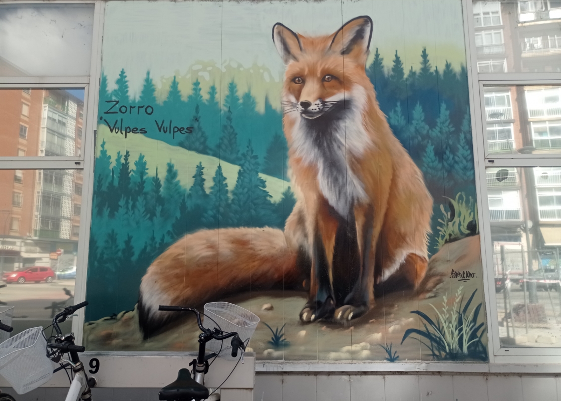 Mural del zorro, iniciativa dentro del proyecto Eco-Burgos de Huerteco sobre educación ambiental