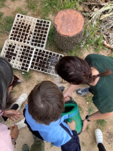 Hortelanos y hortelanas por un día con Huerteco - huertos de ocio en Fuente Bermeja