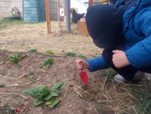 Huerta Educativa - Huerto escolar con Huerteco Educación