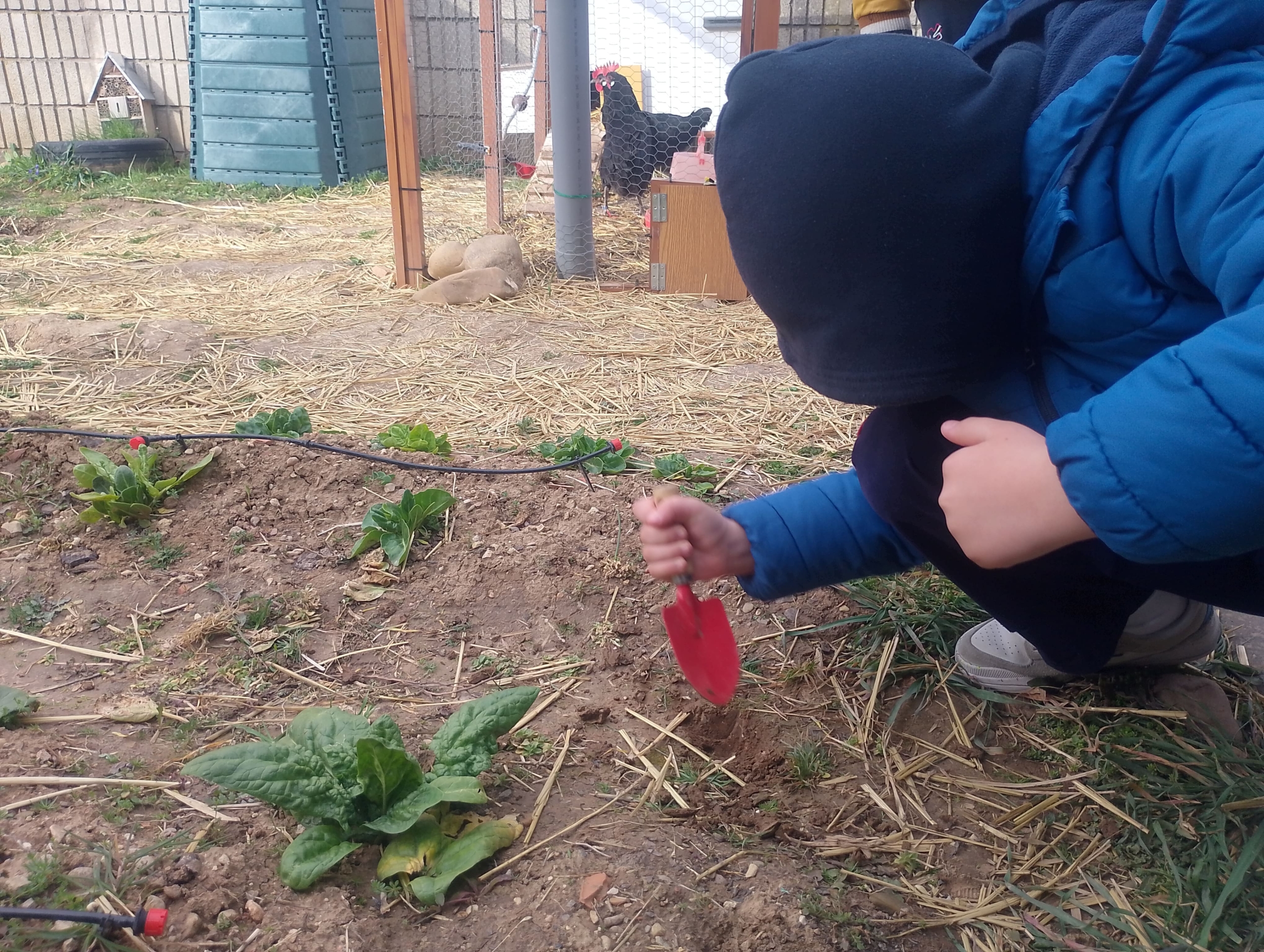 Huerta Educativa - Huerto escolar con Huerteco Educación