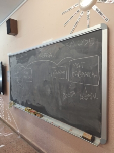 Huerta Educativa - Huerto escolar con Huerteco Educación