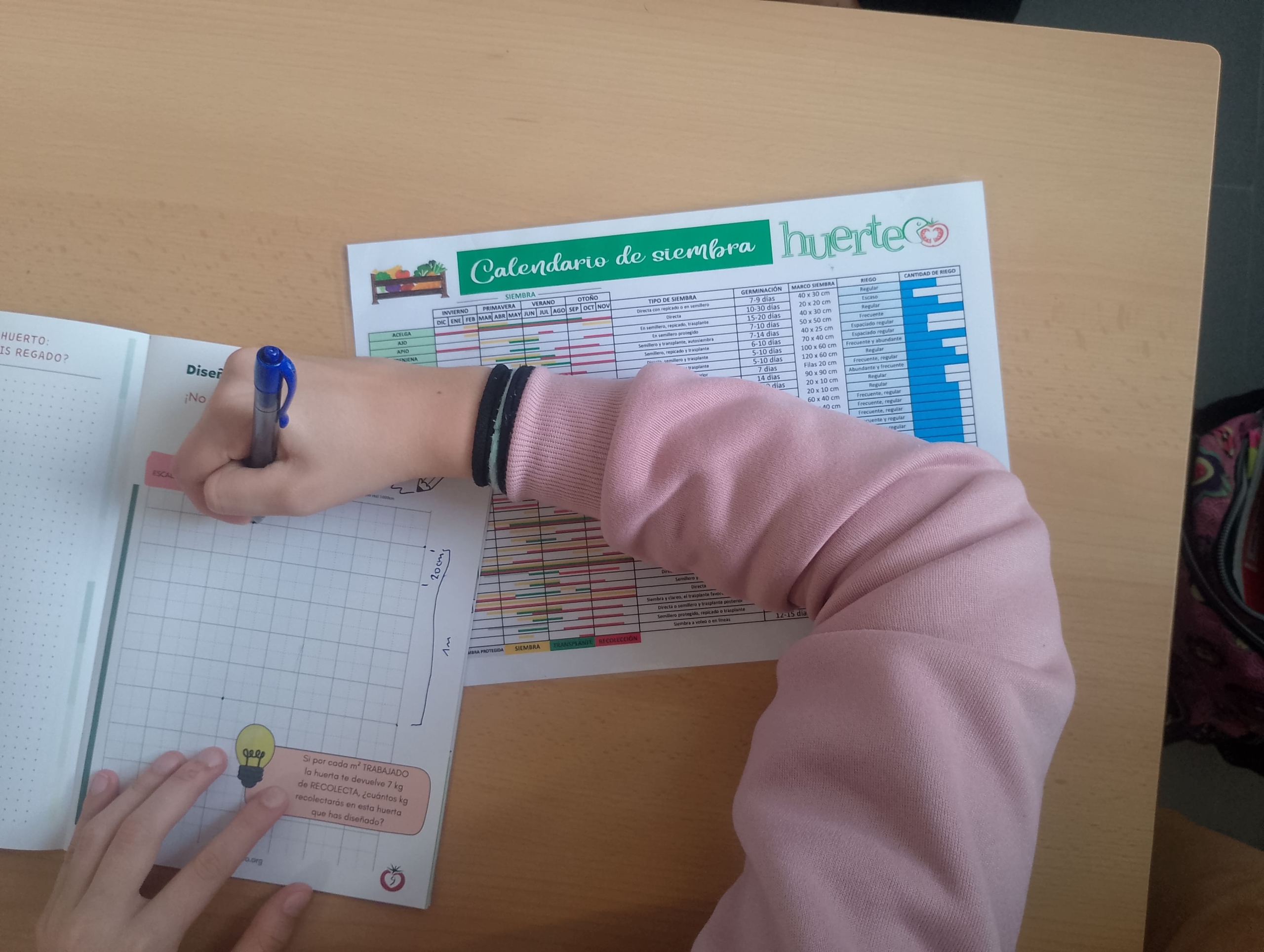 Huerta Educativa - Huerto escolar con Huerteco Educación