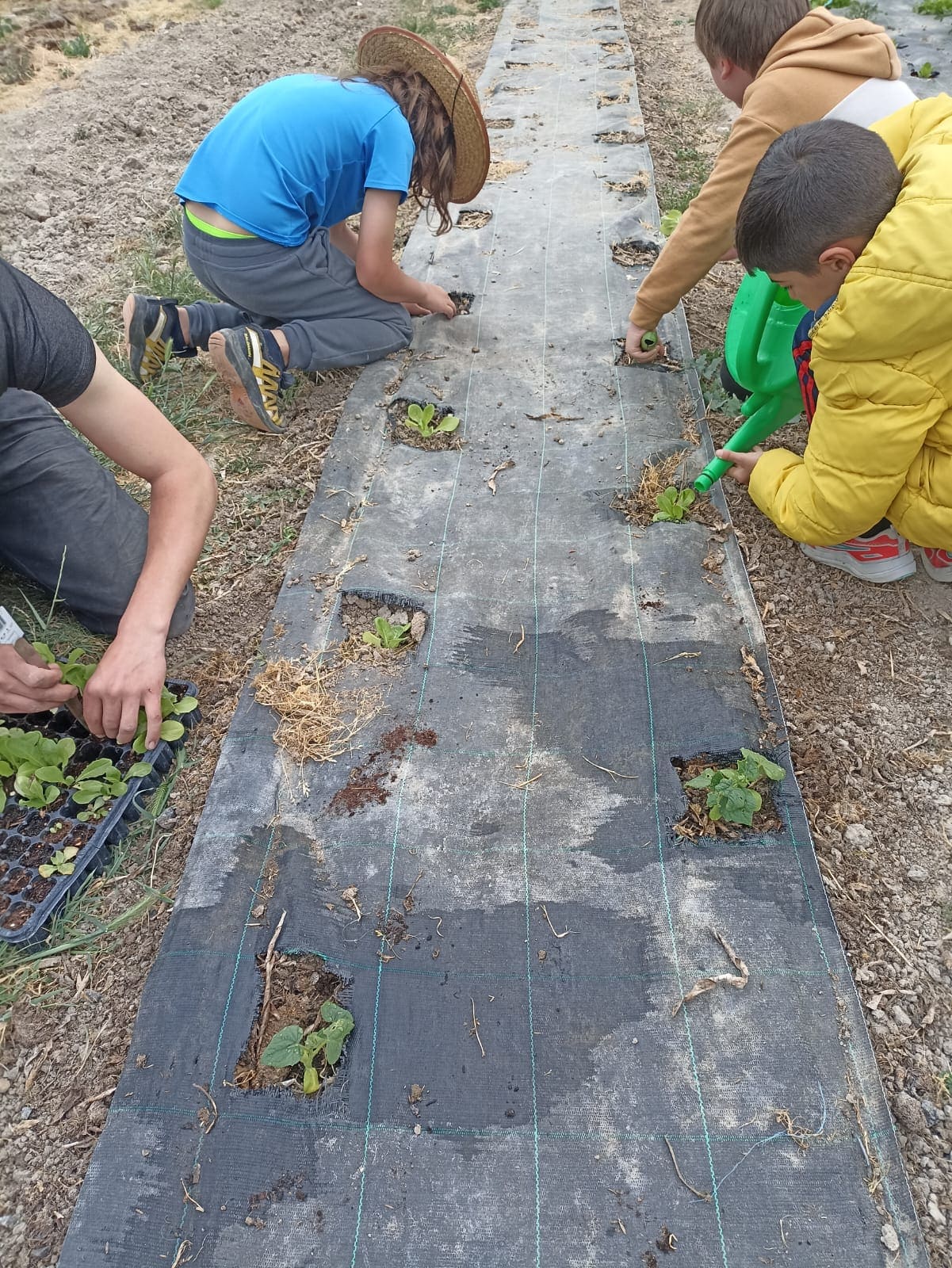 Huerta educativa huerteco aula rural 2025
