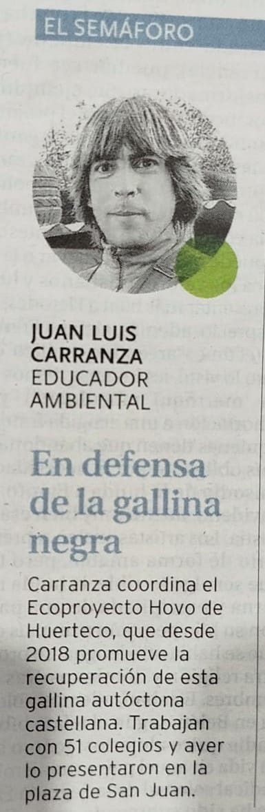 El Diario de Burgos destaca la campaña de Huerteco para conservar la gallina negra castellana, con entrevista, semáforo en verde y tira cómica incluida.