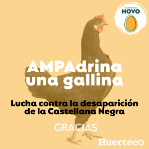 AMPADRINA