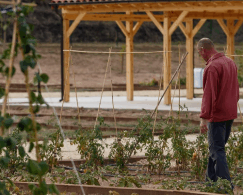 El Correo de Burgos celebra la primera cosecha del huerto vecinal ecológico de Fuentecillas, gestionado por Huerteco y la Asociación de Vecinos.