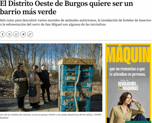 El Correo de Burgos recoge las rutas educativas y murales de fauna del Distrito Oeste, impulsadas por Huerteco para crear un barrio más verde.