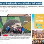 El Correo de Burgos recoge el proyecto ‘Huellas’ de Huerteco, con rutas urbanas y murales para educar sobre la fauna autóctona de Burgos.