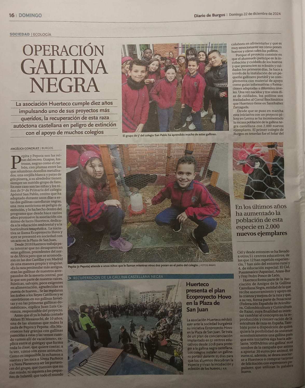 El Diario de Burgos destaca la campaña de Huerteco para conservar la gallina negra castellana, con entrevista, semáforo en verde y tira cómica incluida.