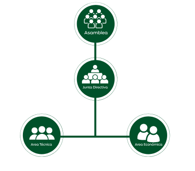 Organigrama Huerteco Transparencia