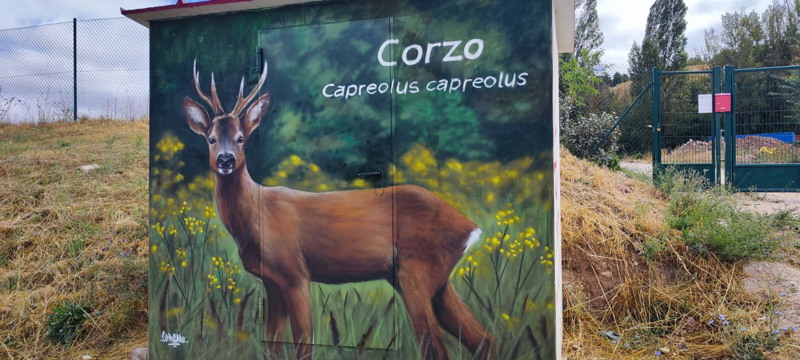 Corzo, proyecto de educación ambiental para dar a conocer la fauna burgalesa de Huerteco.