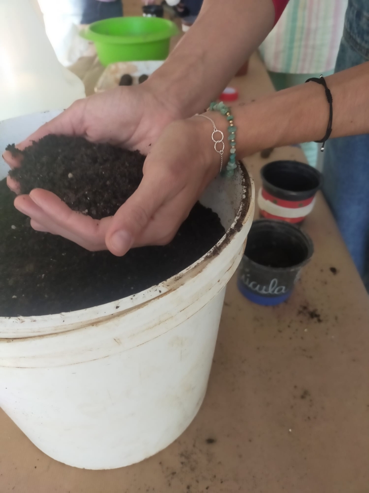 Proyecto de educación ambiental Eco Bugros 2.0 de Huerteco Proyecto de educación ambiental Eco Bugros 2.0 de Huerteco