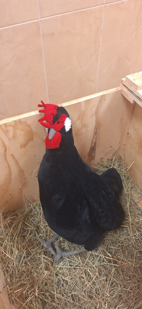 eco-burgos-2 (15) Proyecto de educación ambiental Eco Bugros 2.0 de Huerteco