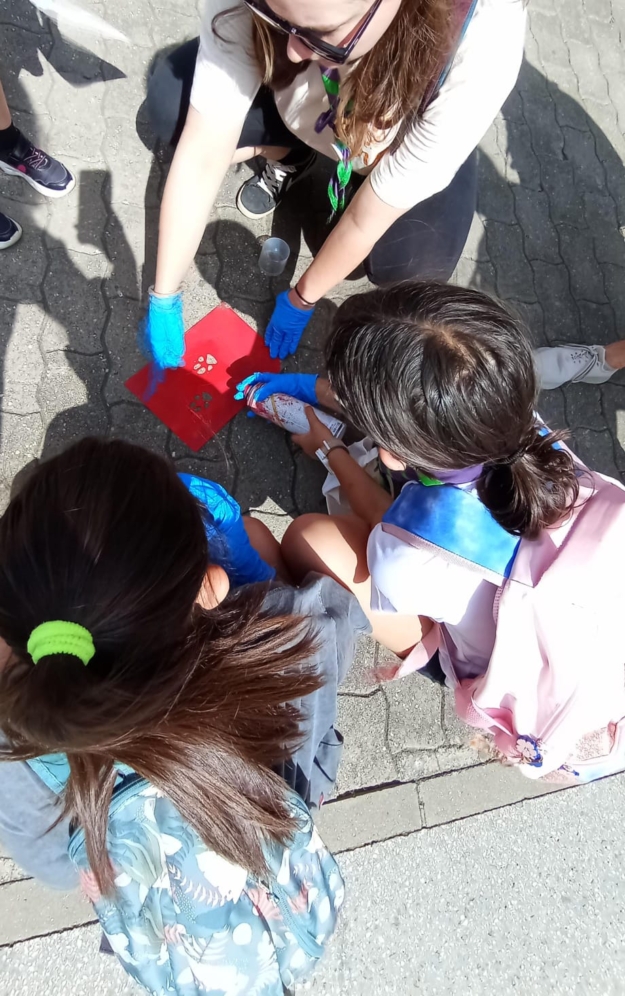 Proyecto de educación ambiental Eco Bugros 2.0 de Huerteco Proyecto de educación ambiental Eco Bugros 2.0 de Huerteco