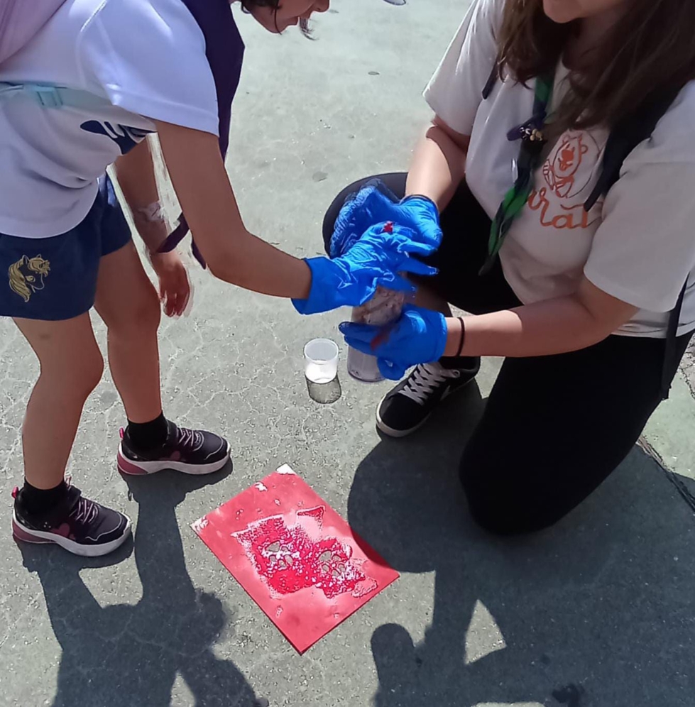 Proyecto de educación ambiental Eco Bugros 2.0 de Huerteco Proyecto de educación ambiental Eco Bugros 2.0 de Huerteco