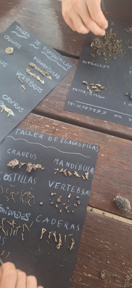 Proyecto de educación ambiental Eco Bugros 2.0 de Huerteco Proyecto de educación ambiental Eco Bugros 2.0 de Huerteco