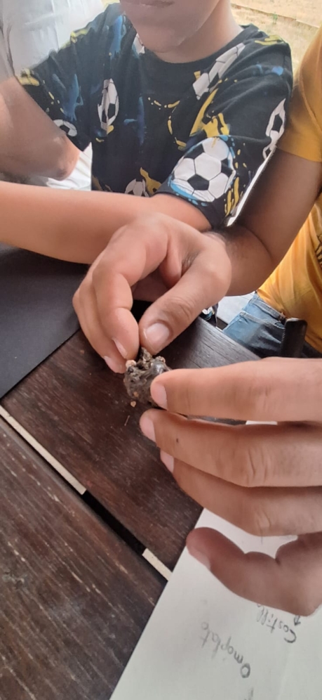 Proyecto de educación ambiental Eco Bugros 2.0 de Huerteco Proyecto de educación ambiental Eco Bugros 2.0 de Huerteco