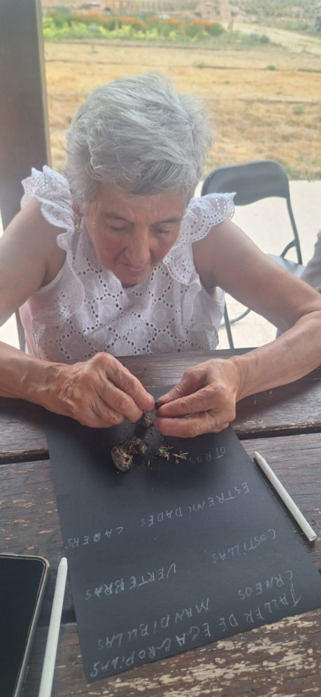 Proyecto de educación ambiental Eco Bugros 2.0 de Huerteco Proyecto de educación ambiental Eco Bugros 2.0 de Huerteco