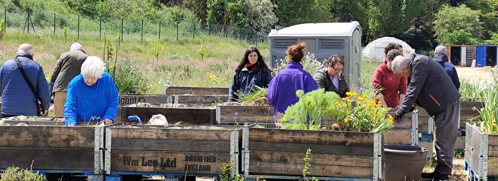 Proyecto Raíces Terapéuticas Huerteco de Horticultura Terapéutica