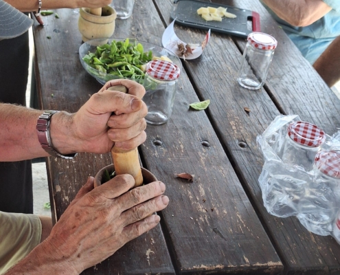 Proyecto Raíces Terapéuticas Huerteco de Horticultura Terapéutica