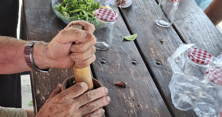 Proyecto Raíces Terapéuticas Huerteco de Horticultura Terapéutica