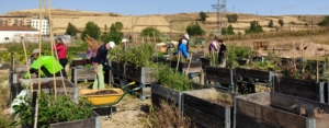 Proyecto Raíces Terapéuticas Huerteco de Horticultura Terapéutica