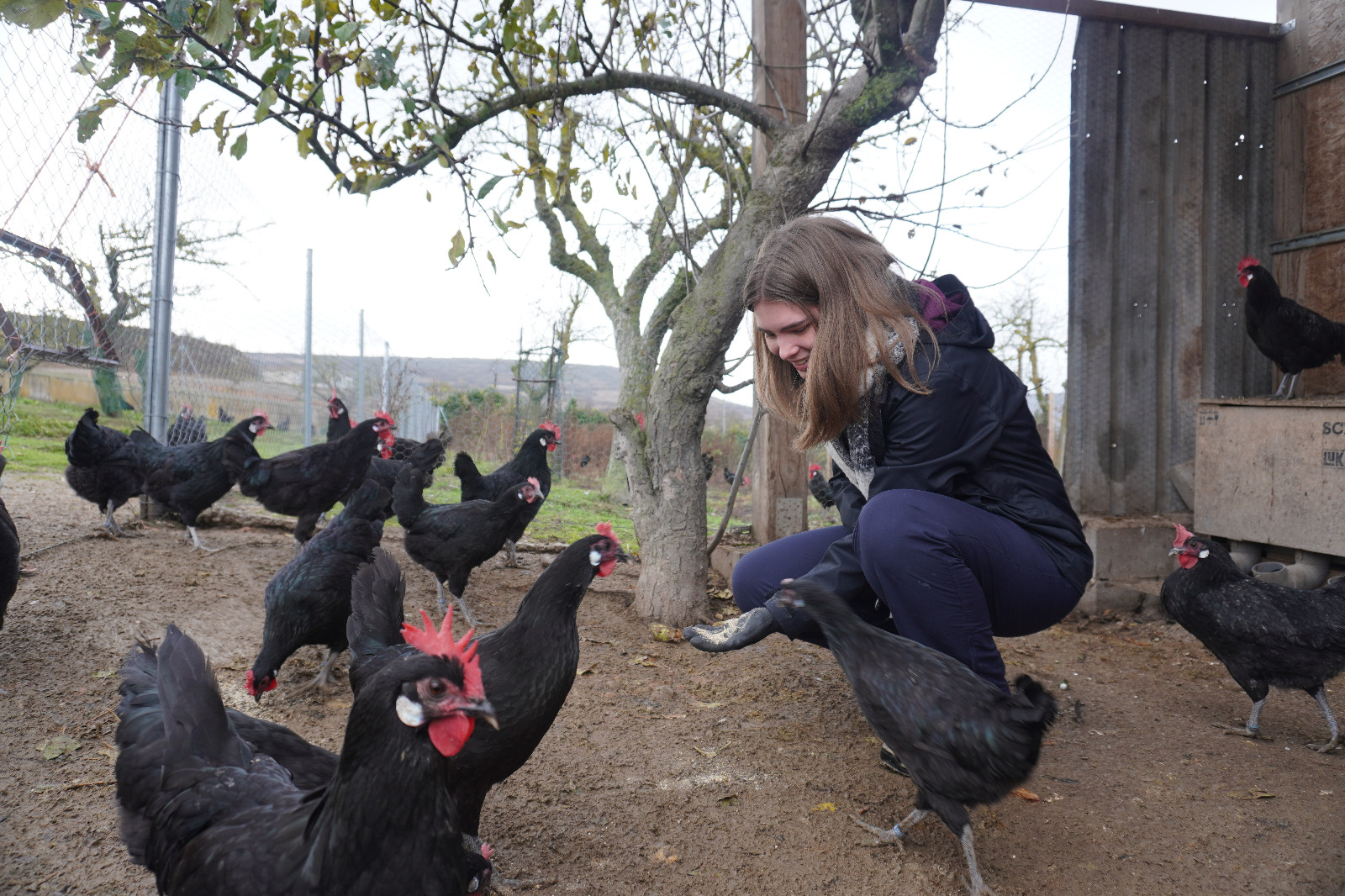 Romane Voluntaria Europea Huerteco 2025