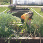 Romane Voluntaria Europea Huerteco 2025