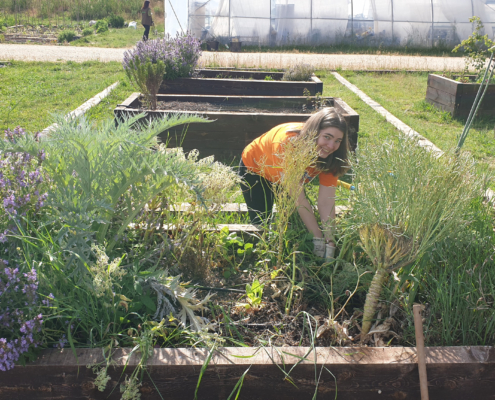 Romane Voluntaria Europea Huerteco 2025