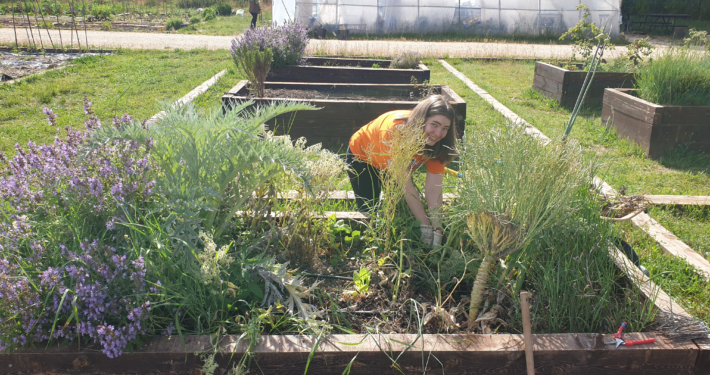 Romane Voluntaria Europea Huerteco 2025