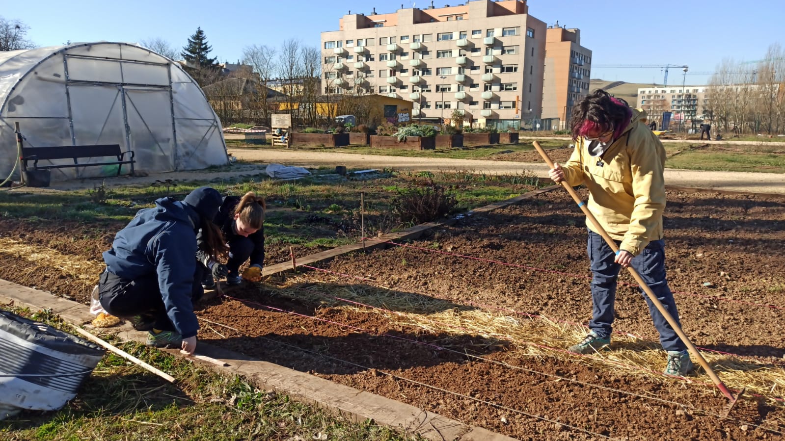Entrevista voluntaria europea, Sofía de Italia en Huerteco. Entrevista voluntaria europea, Sofía de Italia en Huerteco.