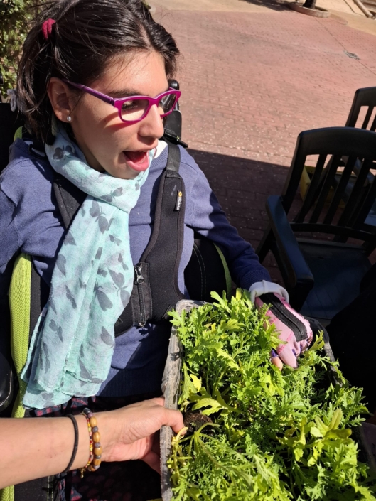 Personas de APACE colaborando en la preparación del espacio de cultivo.