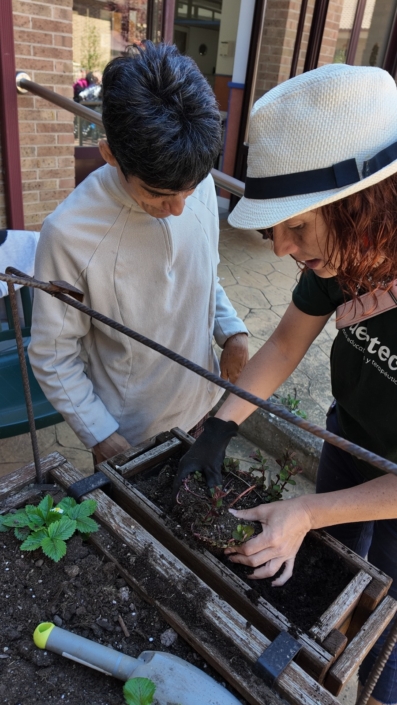 Momento de explicación sobre el cuidado de plantas durante la sesión terapéutica.