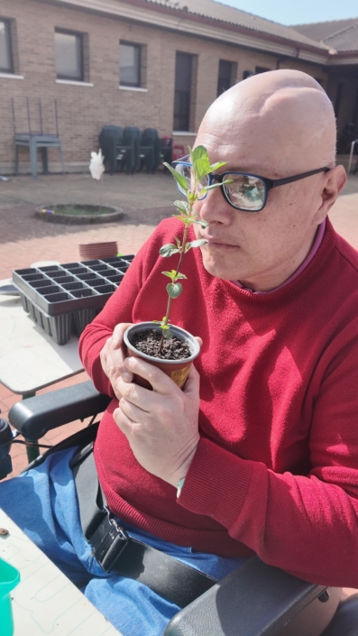 Participantes observando el crecimiento de los semilleros creados en sesiones anteriores.