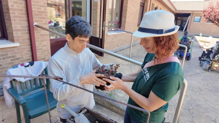 Actividad de observación de plantas y estímulo sensorial en el huerto.