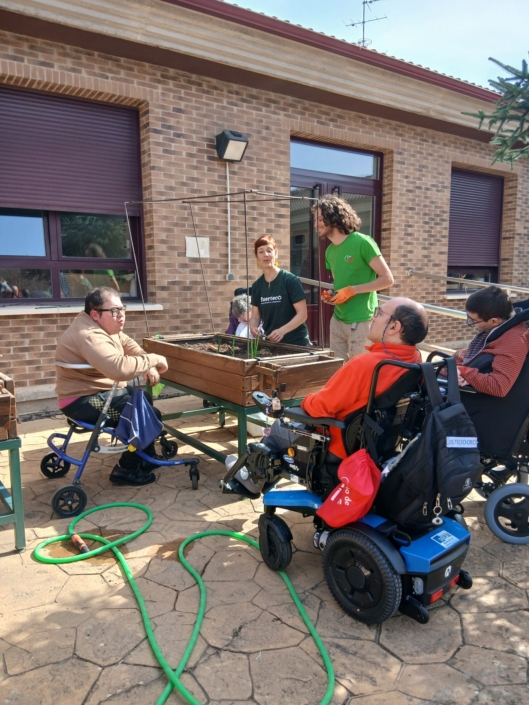 Vista general del espacio de trabajo durante una sesión de horticultura terapéutica.
