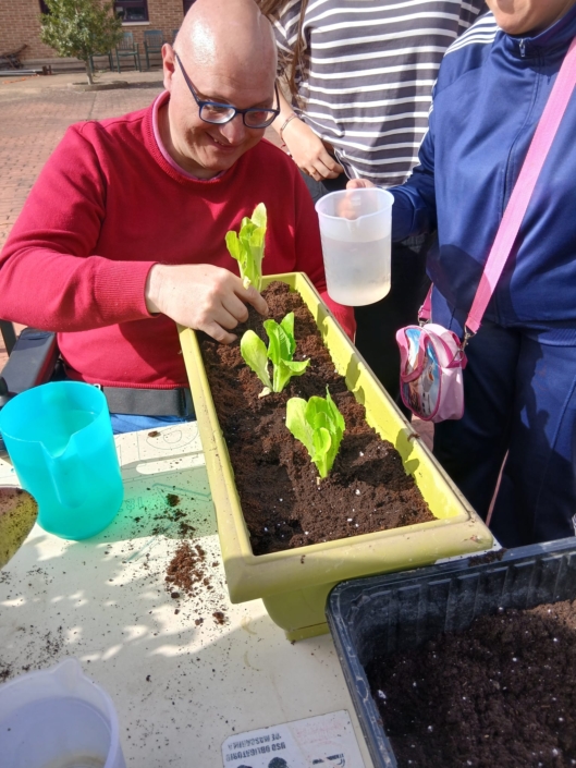 Grupo de APACE trabajando en equipo en el huerto terapéutico.