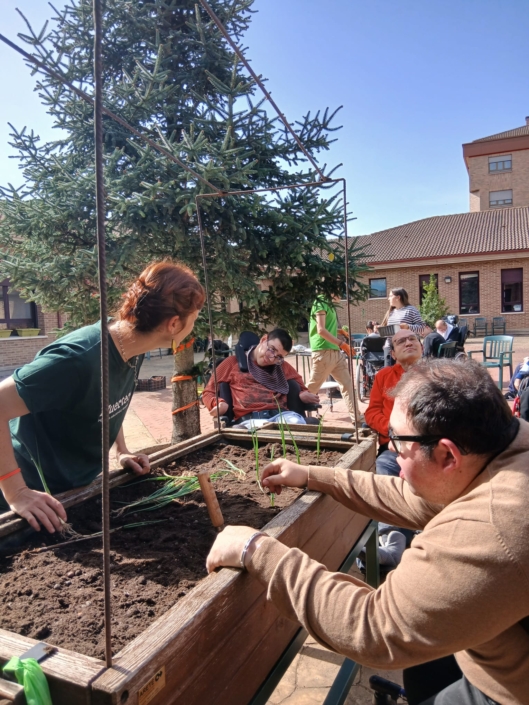 Detalle de manos plantando aromáticas en la actividad de horticultura terapéutica.